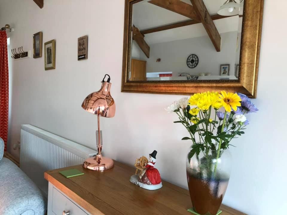 Red Kite Cottage Кармартън Екстериор снимка