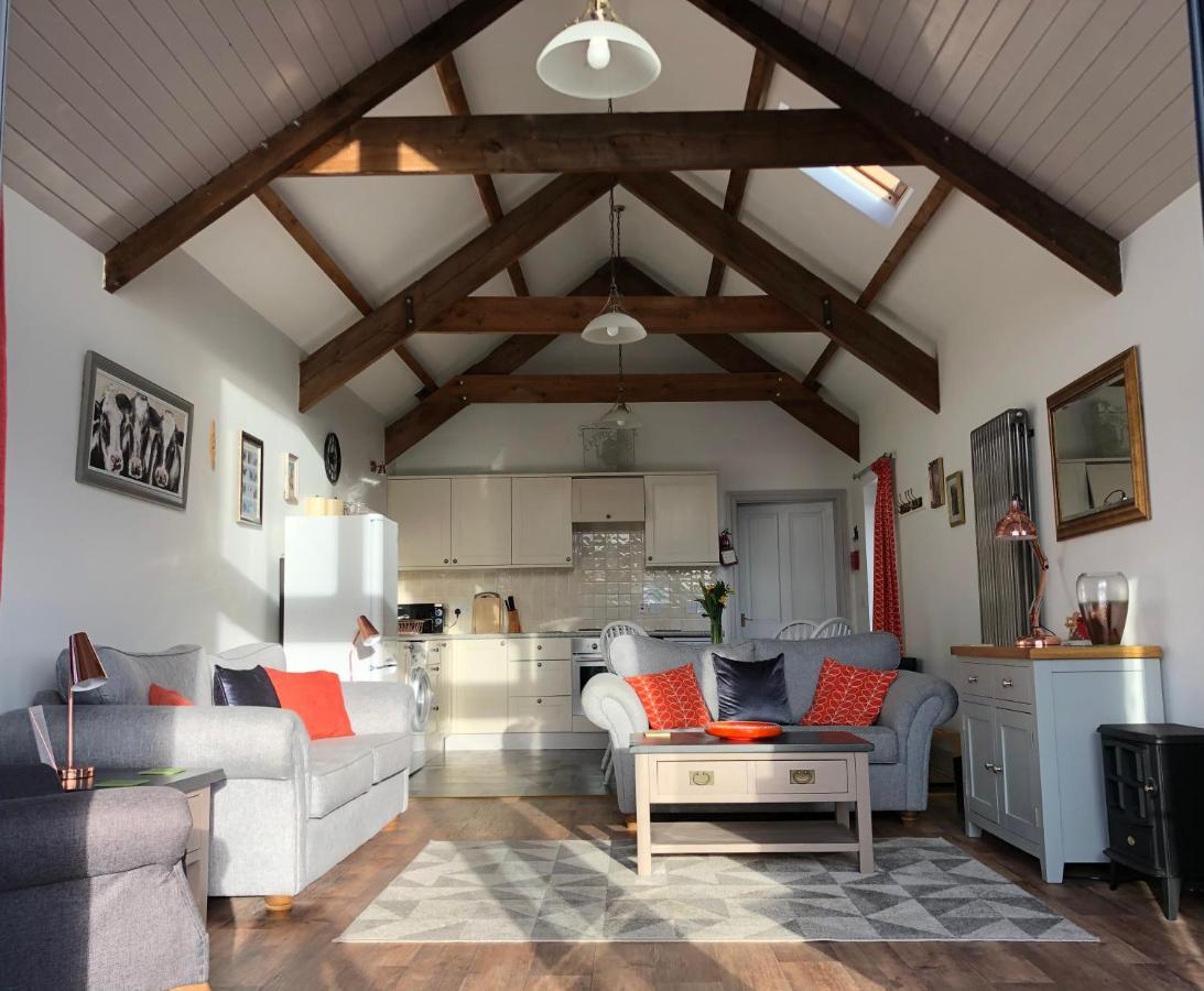 Red Kite Cottage Кармартън Екстериор снимка