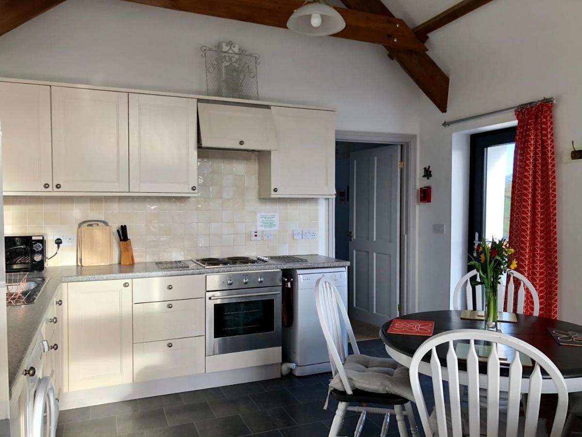 Red Kite Cottage Кармартън Екстериор снимка