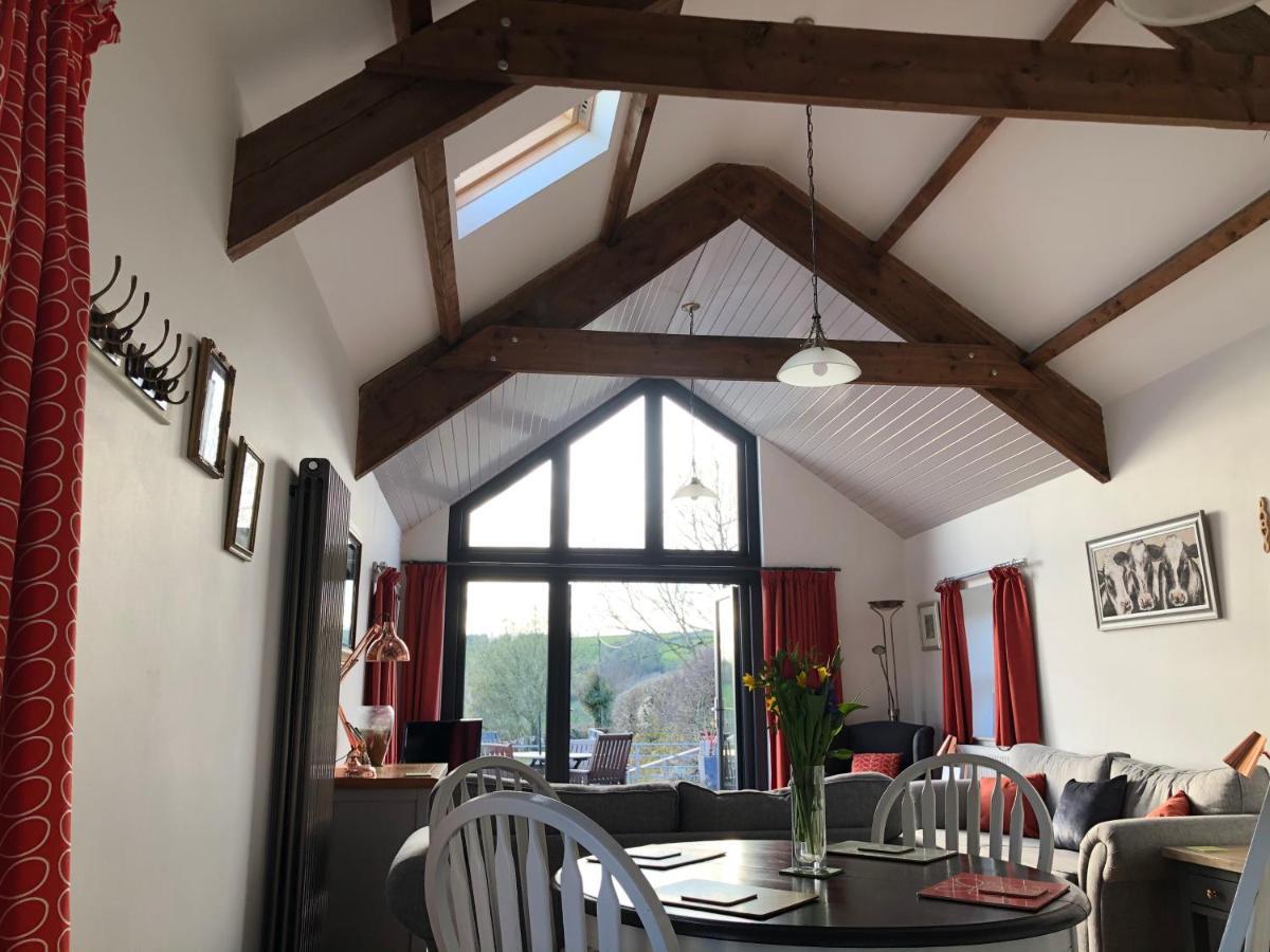 Red Kite Cottage Кармартън Екстериор снимка