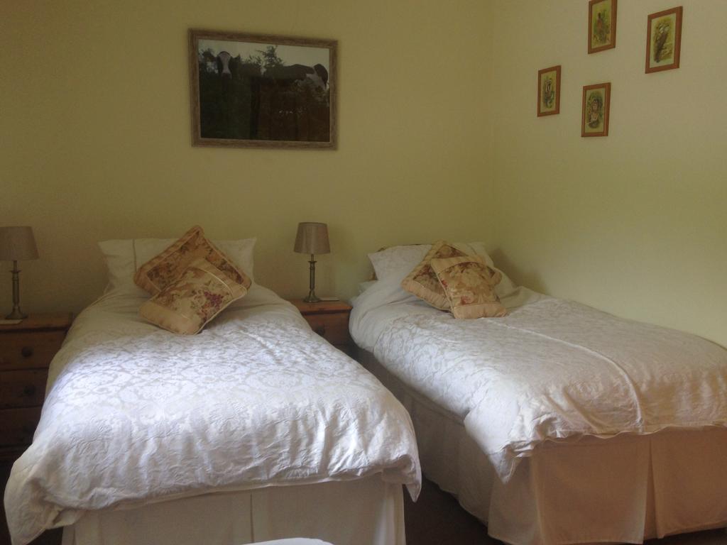 Red Kite Cottage Кармартън Екстериор снимка
